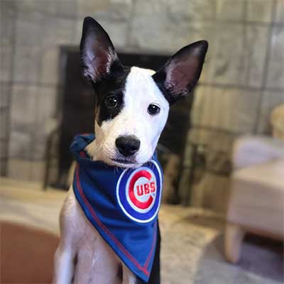 Wrigley Breland